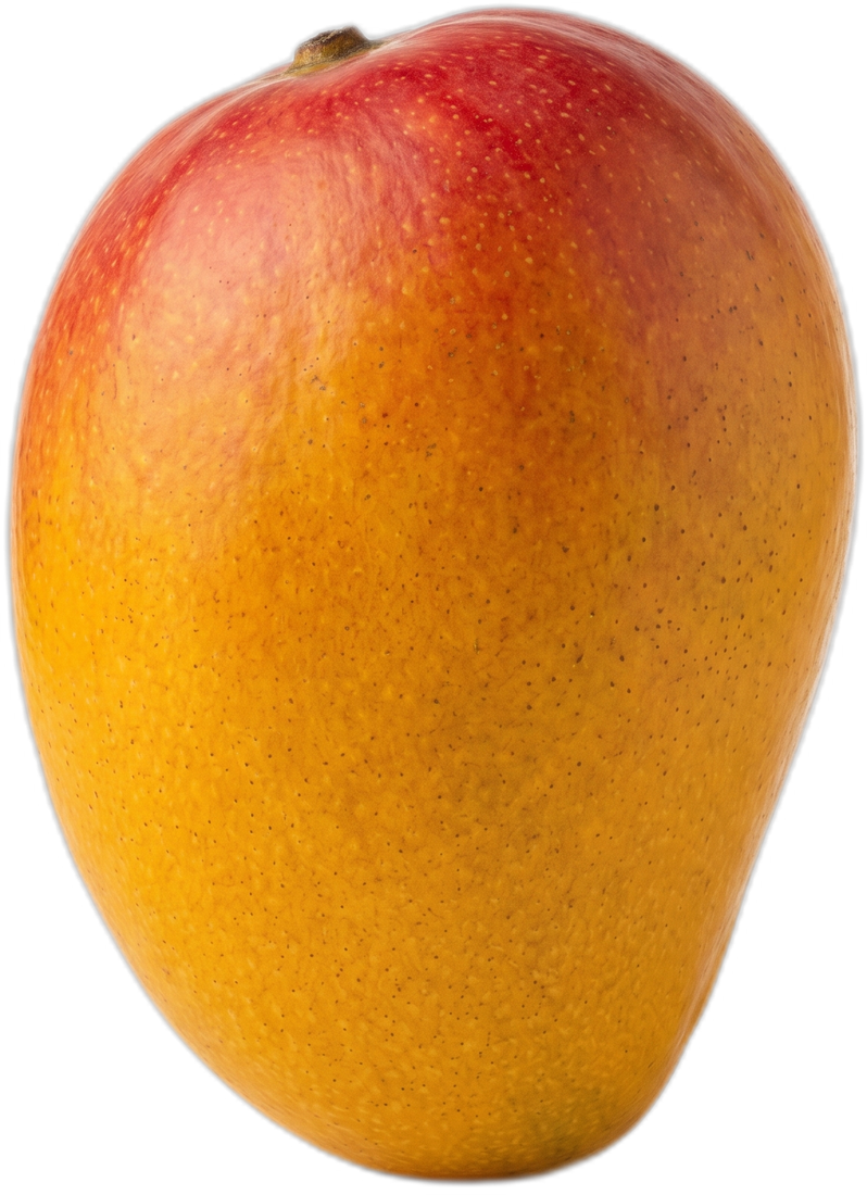 Alphonso mango, saffron flesh with a red blush