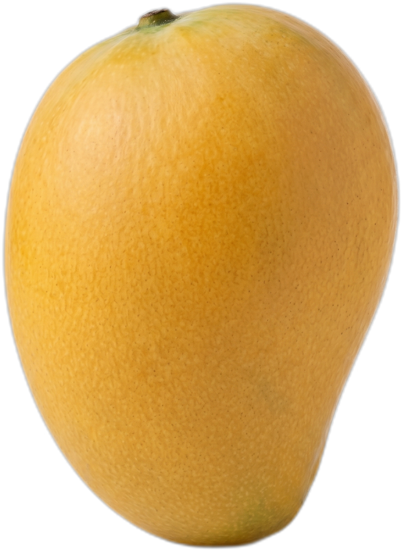 Himsagar mango with golden-yellow skin